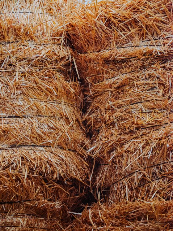 Straw bales stacked tight, seen close up.
